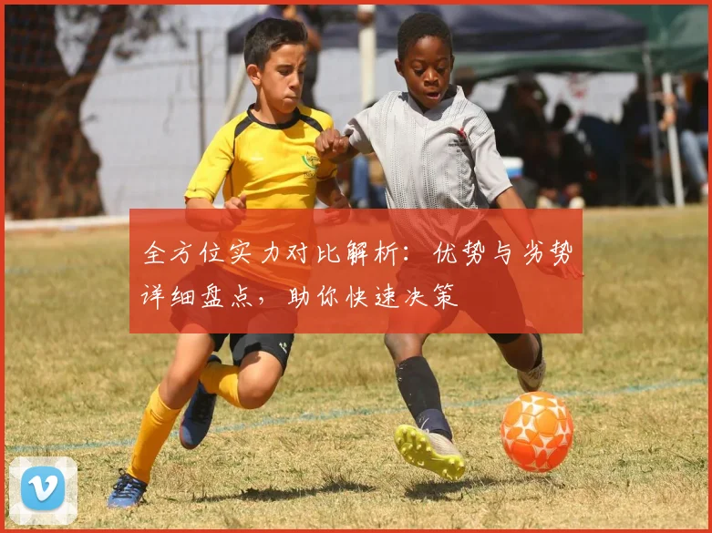 全方位实力对比解析:优势与劣势详细盘点,助你快速决策