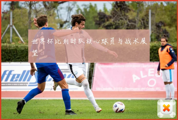世界杯比利时队核心球员与战术展望