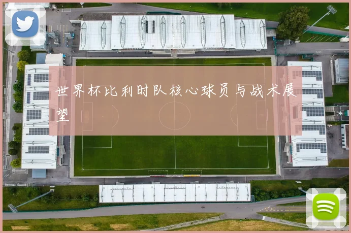 世界杯比利时队核心球员与战术展望